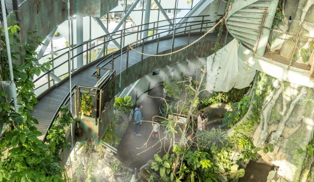 Inside the Green Planet, Dubai