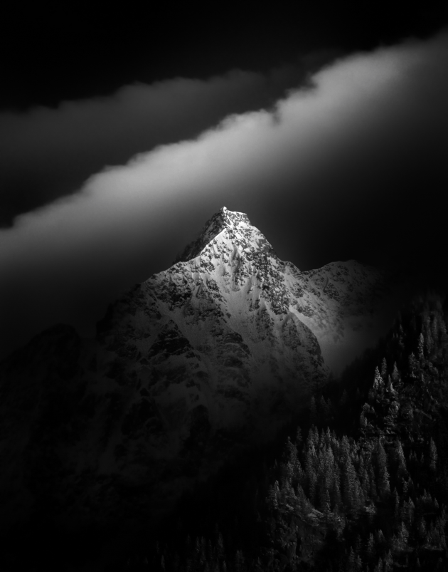 &copy; Timothy Moon