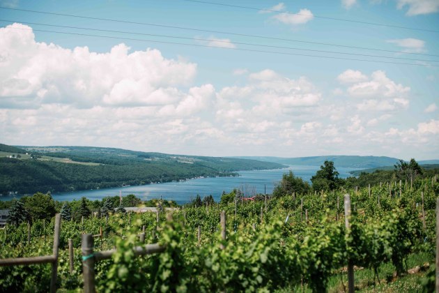 2023 Halliday Wine Companion Awards: Best New Winery
Living Roots, Adelaide Hills, SA
(Image source: Halliday Wine Companion Awards)