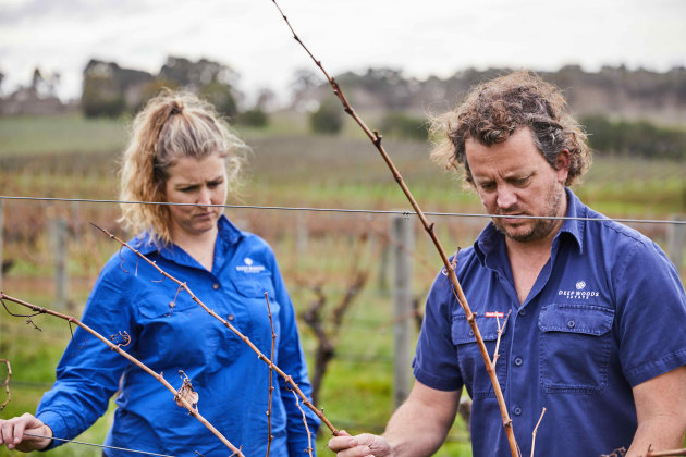 2023 Halliday Wine Companion Awards: Best Value Winery
Deeps Woods Estate, Margaret River, WA
(Image source: Halliday Wine Companion Awards)
