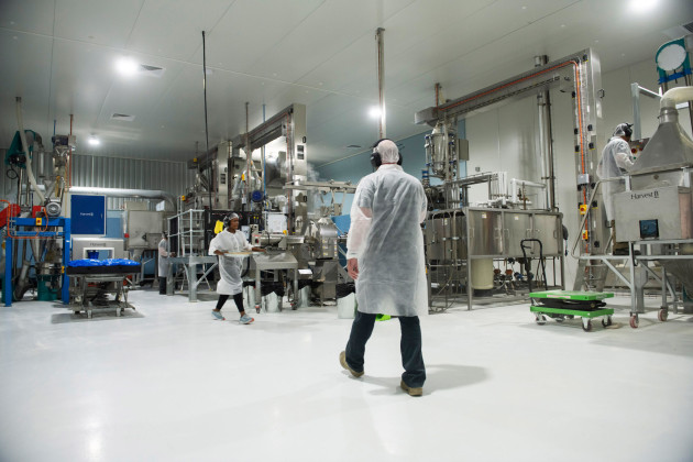 Australia's first plant-based meat ingredients facility opened in December 2022 by Harvest B.