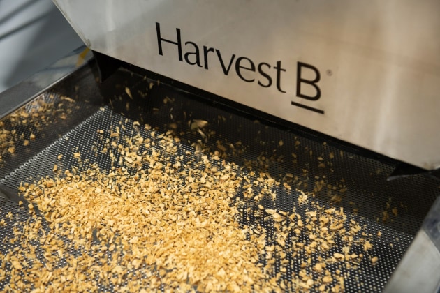 Harvest B's plant-based meat product is made using a patented process to result in a dry, shelf stable offering with a shelf life of around two years.