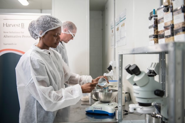 Harvest B has invested heavily in R&D to guarantee future growth. Pictured: Rumbi Chigiga, the company's innovation specialist - food science.