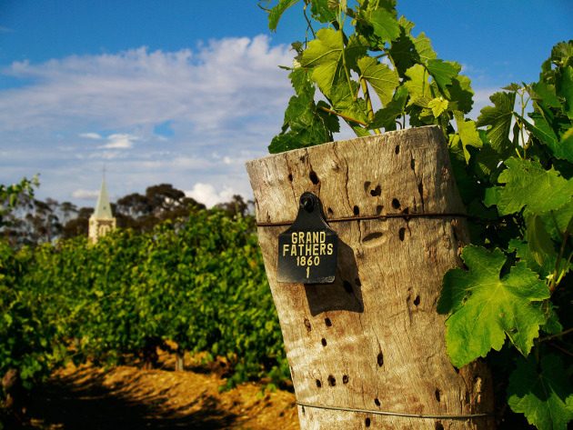 Henschke Hill of Grace, one of the Top 50 Vineyards of 2021. (Photo source: Vineyard of the Year Awards)