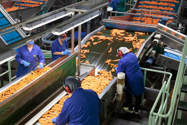 Huntapac washes and packs up to 400 tonnes of carrots a day, of which around 5 per cent are used to make powder.