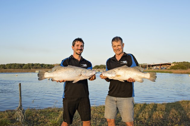 Dan and Bob Richards' Humpty Doo Barramundi is a world-leader in sustainable aquaculture.