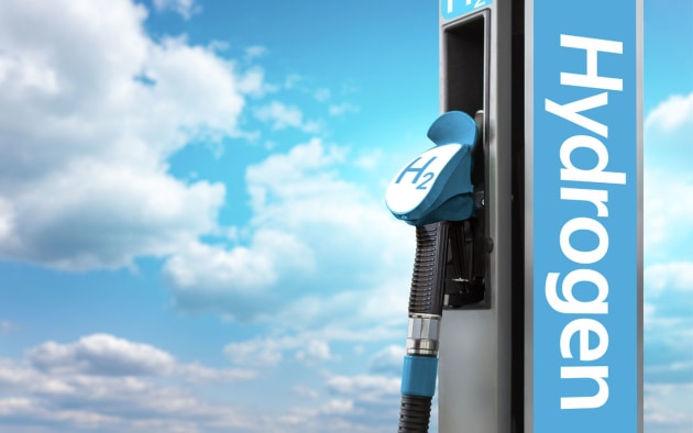 Hydrogen fuel pump