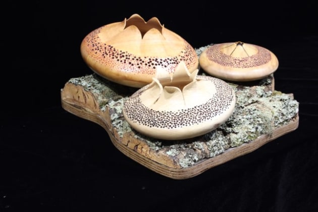 Ian Thwaites, Sporophore