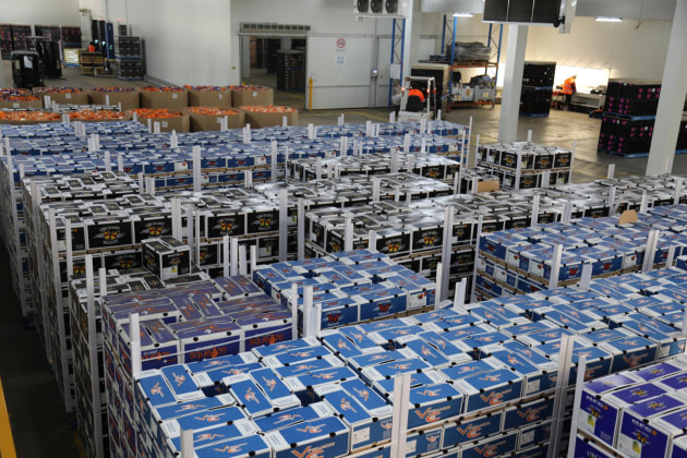 Growers now have a space to consolidate, store and load both export and domestic orders under one roof. VCT expects exports to increase by around $20 million a year.