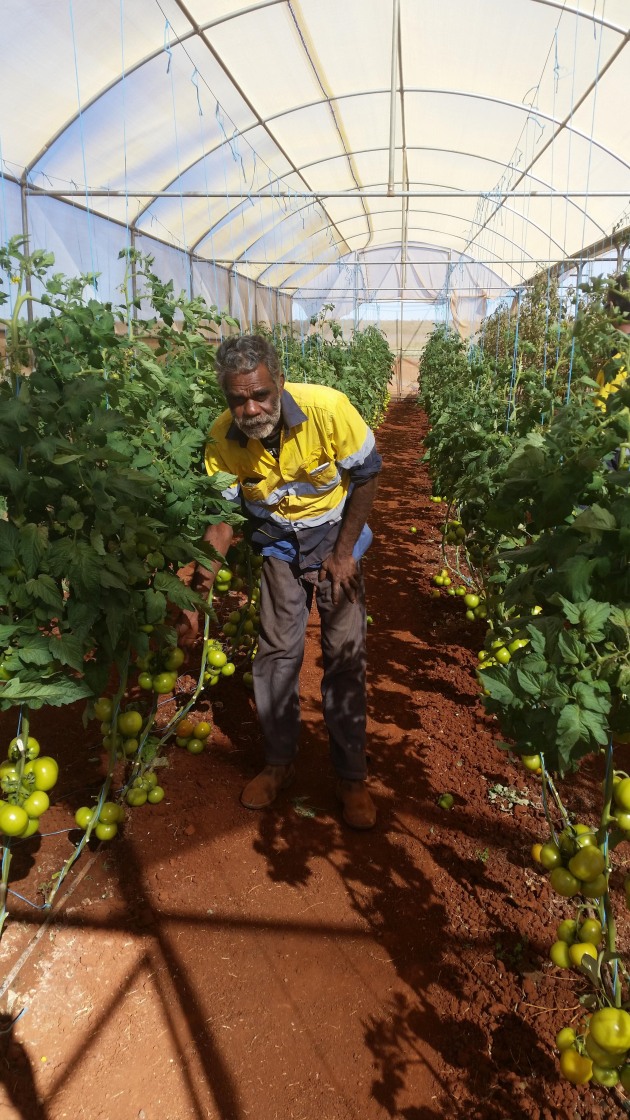The Midwest Employment and Economic Development Aboriginal Corporation (MEEDAC) was incorporated by the Mullewa community in the Mid-West northern wheat belt of Western Australia. It stemmed from community elders&rsquo; concern there were no meaningful employment and training opportunities for their people.