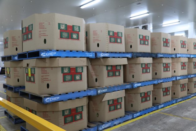 Growers now have a space to consolidate, store and load both export and domestic orders under one roof. VCT expects exports to increase by around $20 million a year.