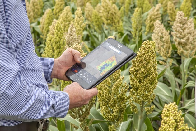 Data Farming - agtech company developing integrated, easy to use, and intelligent precision technology solutions.

Food Futures Company, Grow, and Austrade have selected eight agrifoodtech food and beverage companies as the inaugural cohort of GROW2Asia, a program to fast-track expansion into Asia.