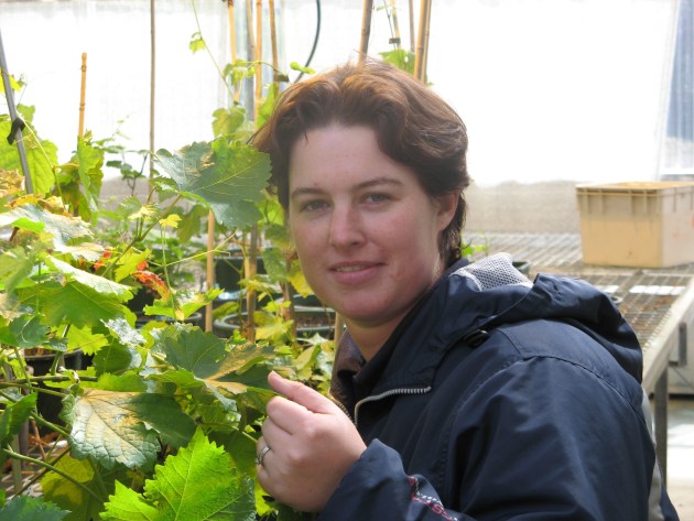 University of Adelaide&rsquo;s School of Agriculture, Food and Wine Professor Kerry Wilkinson is a world leader in smoke taint research.