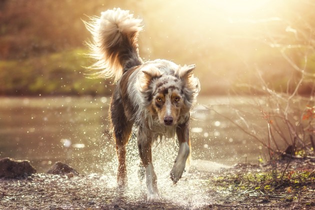&copy; Christian Vieler