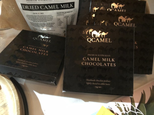 New camel chocolate from Qcamel