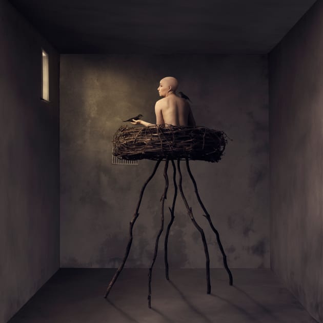 &copy; Agata Mayes