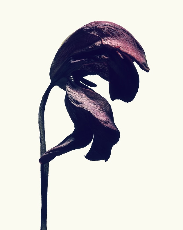 &copy; Isamu Sawa.