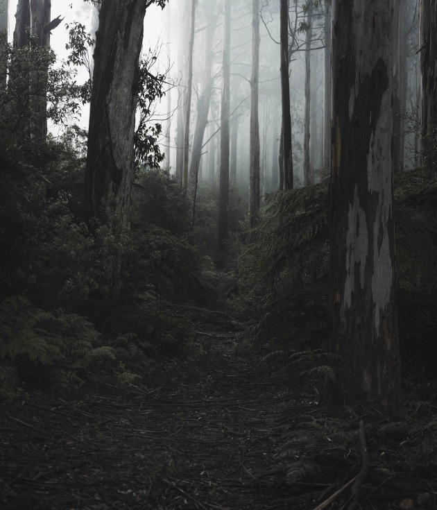 &copy; James Bugg