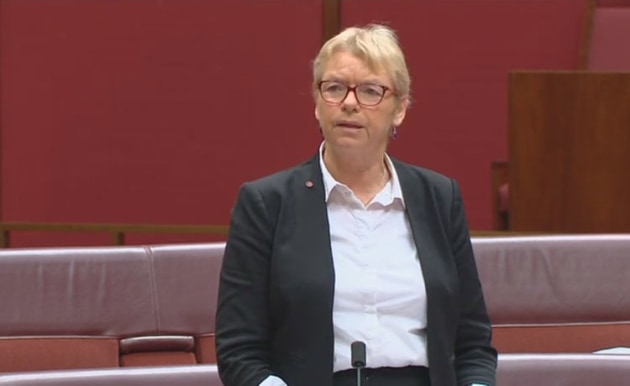 Greens' Senator Janet Rice speaks against the Civil Aviation Amendment Bill in the Senate on 22 July 2019. (still from parliamentary feed)