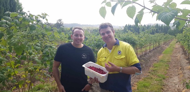 Tasmanian Westerway Raspberry Farm will supply Asahi Beverages with 50,000 kilograms of raspberries every year, with the beverage giant announcing it would no longer use imported berries from Poland.
Jesse Cartwright, Asahi, and Richard Clark, Westerway Farms. (Image source: Asahi Beverages)