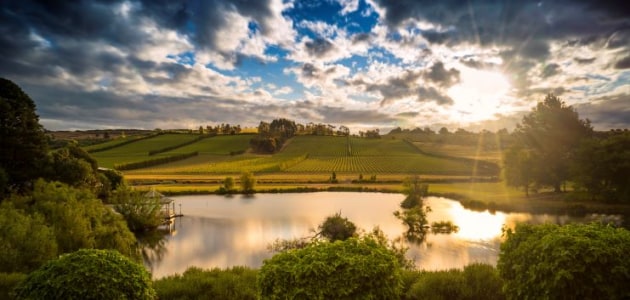 Major acquisitions for Endeavour Group in FY22 in its Pinnacle Drinks business included Josef Chromy Wines for the Paragon Wine Estates portfolio. (Image: Endeavour Group)