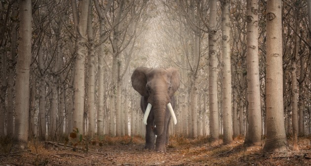 &copy; Kath Salier