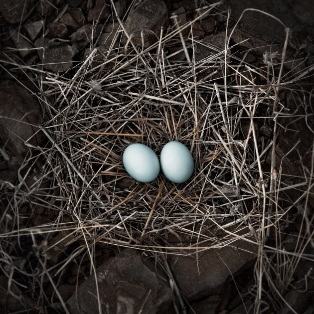 &copy; Kath Salier