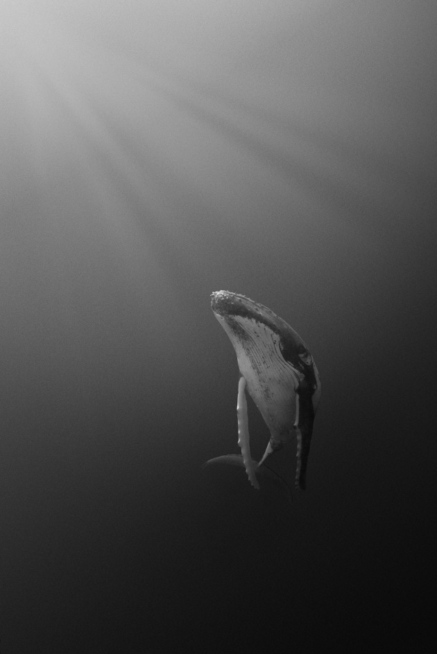 &copy; Kath Salier