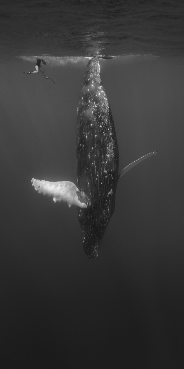 &copy; Kath Salier