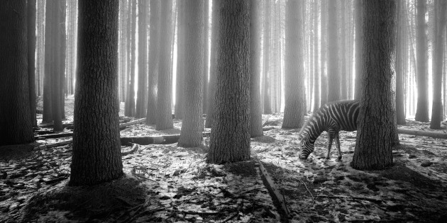 &copy; Kath Salier