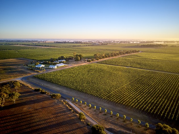 Katnook Estate is based in the South Australia wine region of Coonawarra,