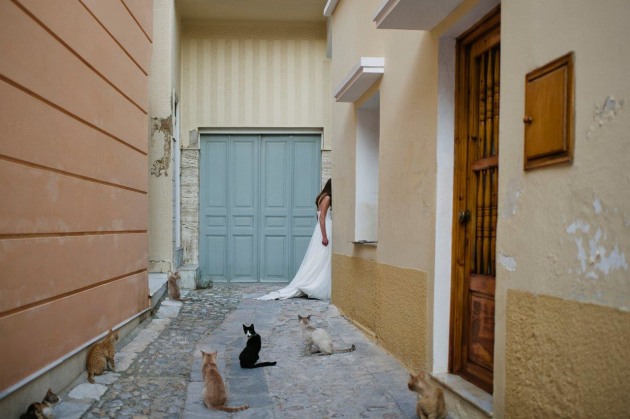 &copy; Kelly Tunney
