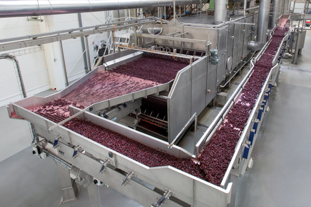 Key Technology worked with dehydrated fruit processor, Zarecki, to integrate a vibratory conveyor system with five Impulse shakers that could handle a wide variety of fruits.&nbsp;