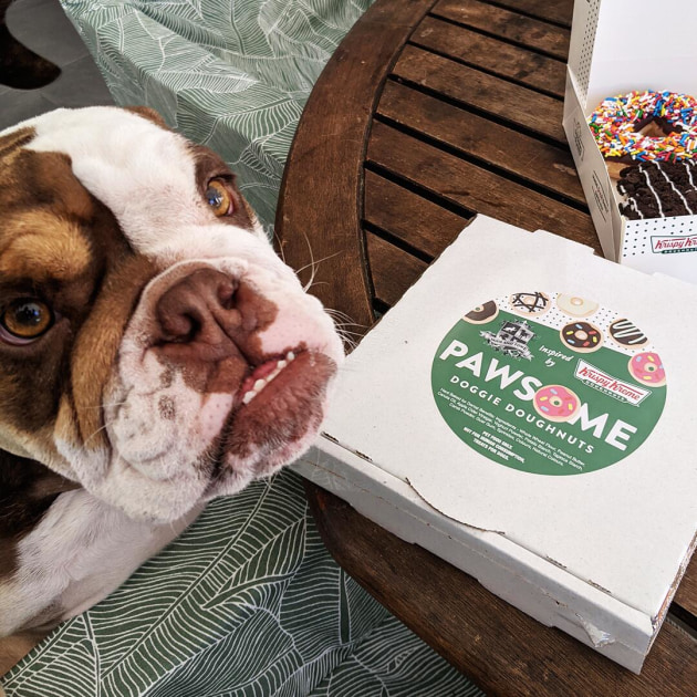 The Krispy Kreme and Doggie Doughnuts project will run in Australia, North America, and the UK this year.&nbsp;