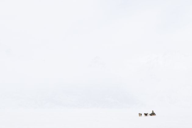&copy; Krystle Wright