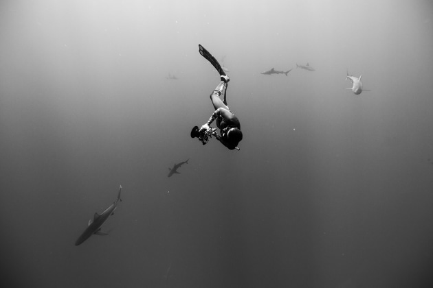&copy; Krystle Wright