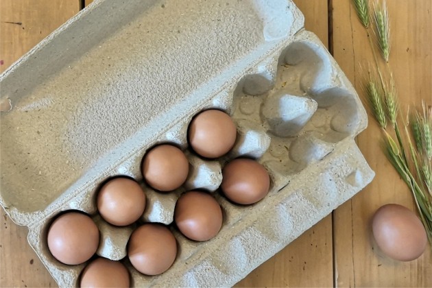 The fibre-based egg cartons using Labelmakers' label production waste are manufactured at Huhtamaki's Preston facility.
