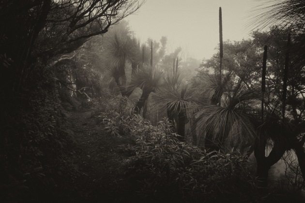 &copy; William Murray. Winner &ndash; Landscape, Australasia's Top Emerging Photographers 2022.