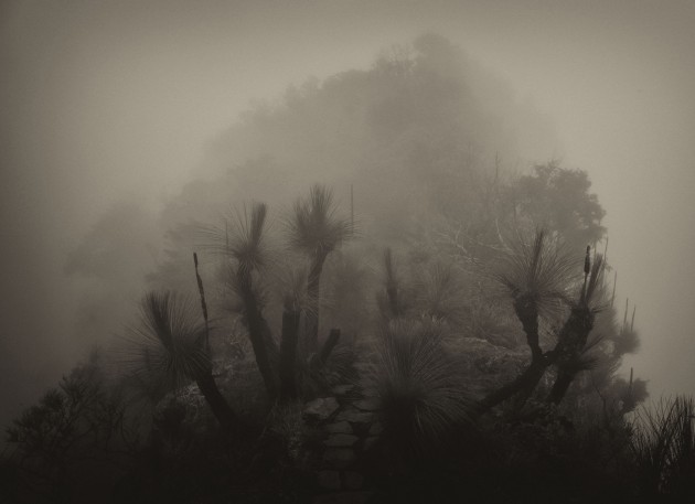 &copy; William Murray. Winner &ndash; Landscape, Australasia's Top Emerging Photographers 2022.