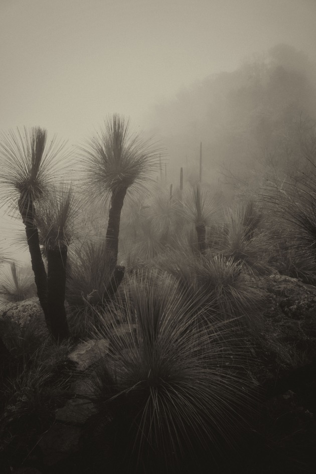 &copy; William Murray. Winner &ndash; Landscape, Australasia's Top Emerging Photographers 2022.