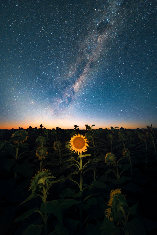 &copy; Luke Tscharke. Landscape category. The Annual 2017.
