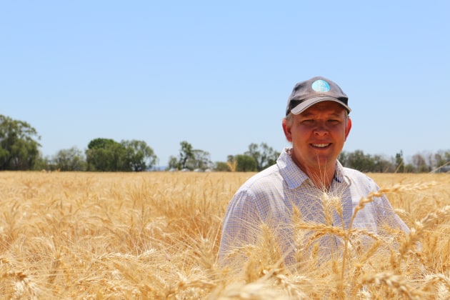 Dr Lindsay Bell, Farming Systems Scientist at CSIRO