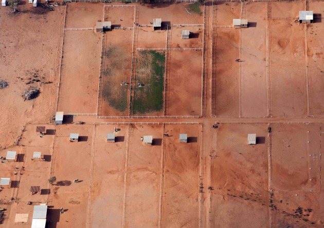 &copy; Louise Whelan. Murray Darling River.