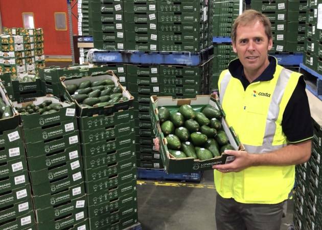 Costa Group avocado and banana category general manager Shanon Williams says the Lovacado system is an industry first.