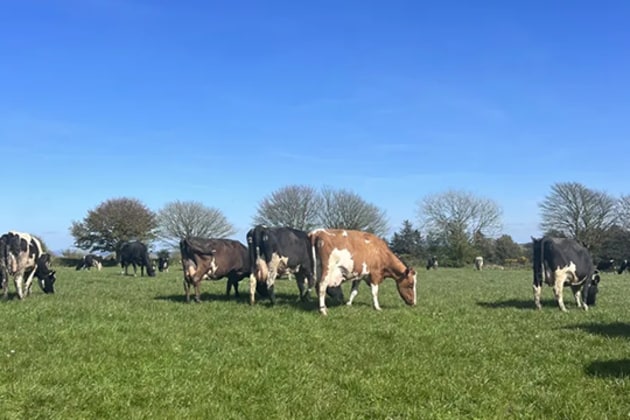 Arla will provide annual primary carbon footprint data linked to the dairy volumes supplied to Barry Callebaut at farm level.