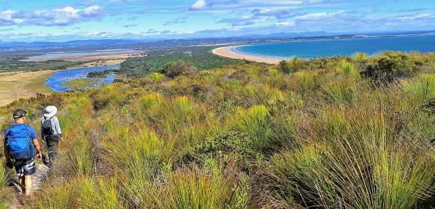 Northern Tasmania Walks will show you some great walks! Image supplied