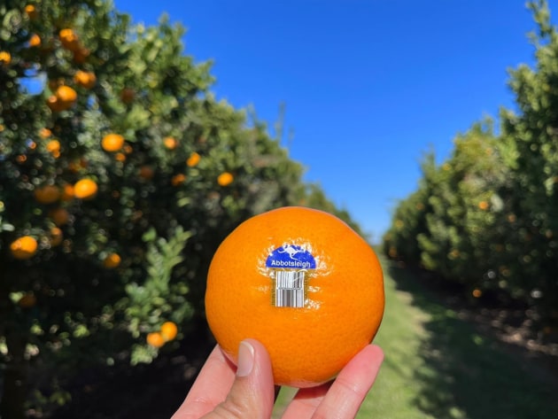 Citrus exporter, Nutrano, plans to move bigger shipments and develop a new distribution strategy with the immediate 50 per cent reduction for oranges, mandarins, and pears.