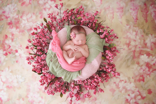 &copy; Katie Fiorillo.