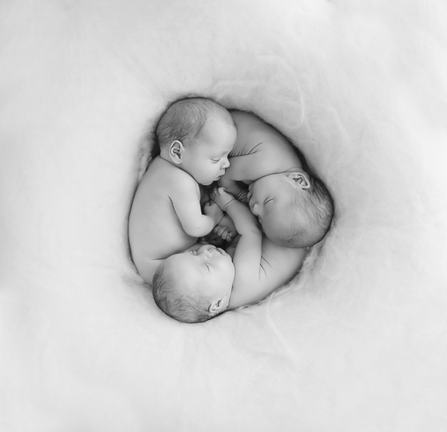 &copy; Katie Fiorillo.