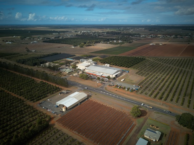 Macadamia business Marquis Group is investing $35 million in production capacity and pasteurisation technology across its operations. It will increase processing capacity from 12,000 to 15,000 tonnes annually and create up to 40 jobs at its Bundaberg facility.
